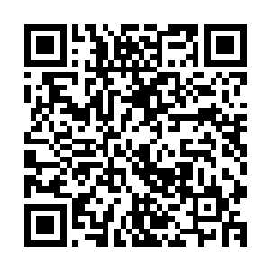 王宝现在终于明白为什么夏天之前说他已经做好死亡的准备了二维码生成
