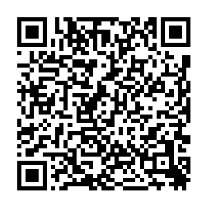 王宫和医院方面都没有给出任何小公主身体有关的消息……据可靠消息推测二维码生成