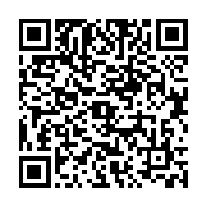 王家在这个关键的时刻绝对不能够出现任何的问题二维码生成