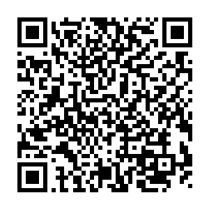 王家的几位天尊悲怒之下联手闯进了那片曾经是他们王家族地的死地二维码生成