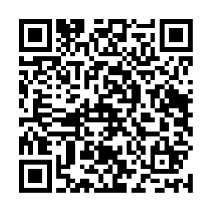 王振科可以轻而易举的给你挂上一个世界通缉犯的头衔二维码生成