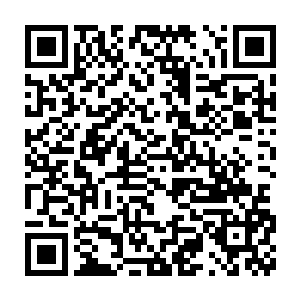 王教授和李教授两人经过两年时间才从一个遗迹中提取出一种代名为二维码生成