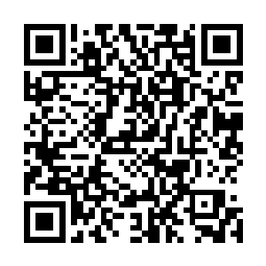 王林泉的确从未对在北凉怨声载道的陆家有过半点落井下石二维码生成