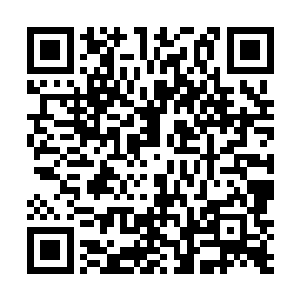 王枫与她的族兄杨秀清之间已经没有了任何缓和的余地二维码生成