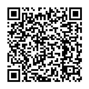 王枫打捞出赫尔墨斯号上的武器装备与击退了红单船的消息还未传来呢二维码生成