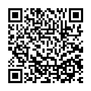 王枫接见了广州数以万计的中小行商代表与牙商雇员中高层代表二维码生成