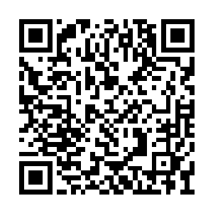 王枫给海军定的标准是三千吨级以下全算护卫舰二维码生成