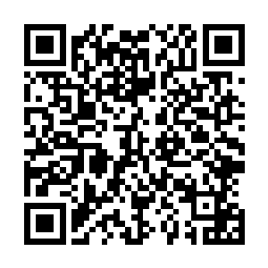 王森林和郝佳的这栋别墅是几年前一个开发商送给王森林的二维码生成