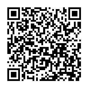 王甲第就跟山林里的老虎一样对属于自己的领地有种畸形的占有欲和保护欲二维码生成