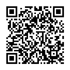 王甲第雷厉风行的行事风格在此时也很是时候地表现出来二维码生成