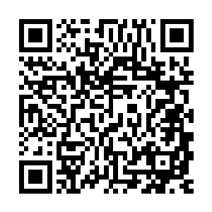 王老虎一口咬定是听了丁长生和张强的对话才愤然去杀陈标子的二维码生成