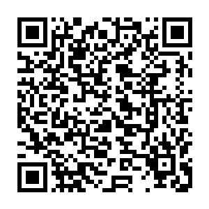 王诗茹的燕京红都传媒开始准备下午运河县十条街道电子广告牌使用权的拍卖二维码生成