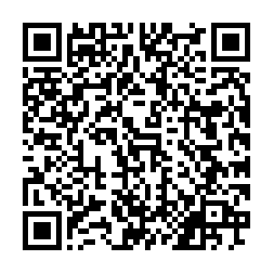 王辉也曾无数次地站在窗前痛苦的思索自己为什么会有这样无力的感觉二维码生成