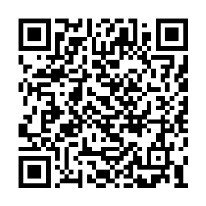 王铮的第二个轮子轻轻松松挡住了狙击手的攻击二维码生成