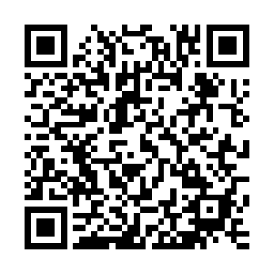 现今大小世界中已有数万年没有诞生人皇……不管是双修也好二维码生成