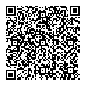 现代社会已经不是以前 一个人的强大并不能代表什么 叶家要想真的变强 就需要涌现出一大批的中坚学员 这才是上策二维码生成