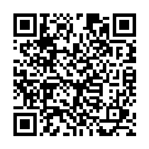 现在一眼看去整个人苍白无神仿佛一具活动的尸体一般二维码生成