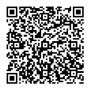 现在三号嘉宾是否也能和他边上的二号嘉宾一样成功夺得这只更为强大的三十二阶烈焰飞豹的所有权呢二维码生成