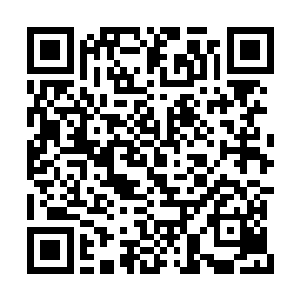 现在不管是谁挡在他们的前面也没有任何的作用二维码生成