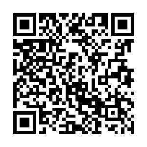 现在事实证明了……连海里的鱼群生态结构都不放过二维码生成