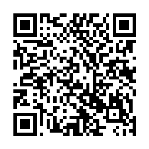 现在人已经没了……你让落丫头如何承受的住这样的打击二维码生成