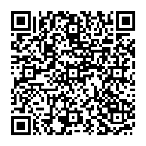 现在仍然可以看到少部分已经风化得不成样子的贝类和水螺之类的水下生物的壳子二维码生成