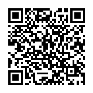 现在他们一个个反而是更加期待夏天下两次的表现了二维码生成