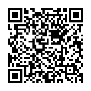 现在他们几个正在庞管家的带领下开开心心的逛着这座国都城池二维码生成