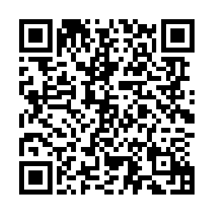 现在他们就算把山翻过一个遍怕是也找不到姚成材的尸体了二维码生成
