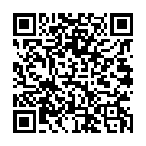 现在他们就要看看夏天要为自己的猖狂付出什么样的代价了二维码生成