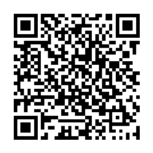 现在他们根本没有多余的力量去管这些后宫的美人们二维码生成