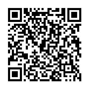现在他们终于明白夏天为什么可以干掉百宝阁的五位管事了二维码生成