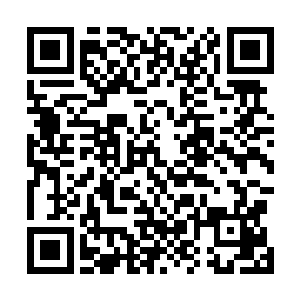 现在他们谁也不敢把白昊当成是手无缚鸡之力的书呆子了二维码生成