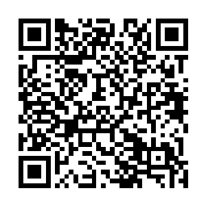 现在他反倒对修罗道殿其他几位师兄弟产生了一丝的好奇二维码生成