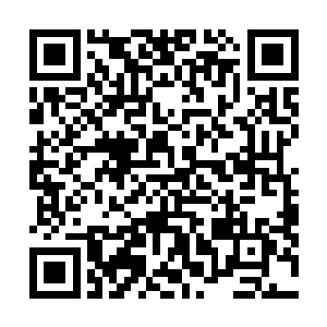 现在他无法确定毛小鹏是否把自己的意见转达给了陆为民二维码生成