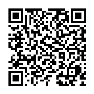 现在他是真的明白黄金帝王蛊与人类融合后到底有什么作用了二维码生成