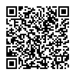 现在他是确定萧摇这是完全还把他当作那个山里长大什么都不懂的孩子二维码生成