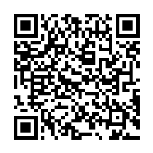 现在他最大的愿望就是能和在华夏的父母安全的通个话二维码生成