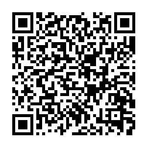 现在他终于明白为什么兰叔叔能够靠着仙箭术成为兰家顶尖天才的代表了二维码生成