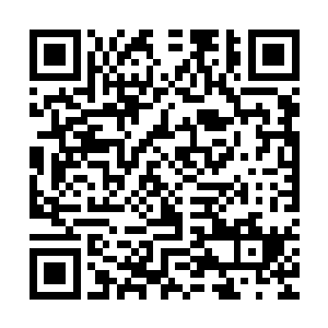 现在他终于明白了对方为什么一点都不将自己一行人放在眼里了二维码生成