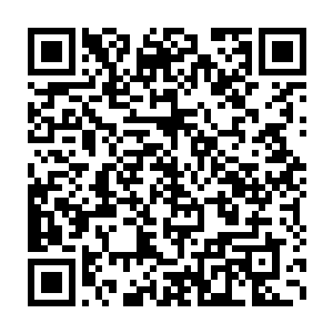 现在他还记得上一次他带着蓝天冒险团的人顶着钢盾在雨中飞奔时二维码生成