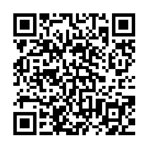 现在他顺从自己的心意看过去才觉得以前的自己是多么的幼稚二维码生成