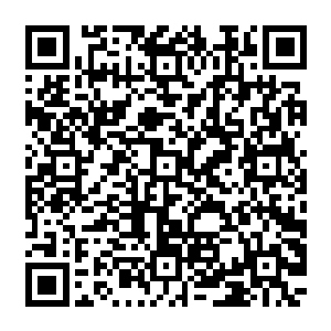 现在以我九级顶峰的实力的话要是在魔兽森林中部中级魔兽活动的区域全力释放威压的话二维码生成