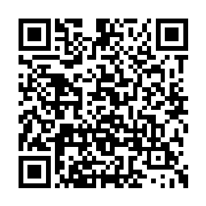 现在你已经是一具尸体了……敢对我家主人不敬二维码生成