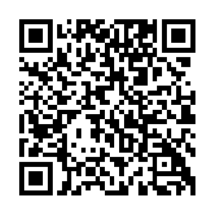 现在使用了秘法之后血天使已经由开始的六对羽翼变成了七对二维码生成