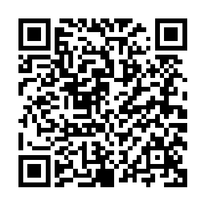 现在依然在对抗卡纳维亚政府军和反对派武装其实已经不多了二维码生成