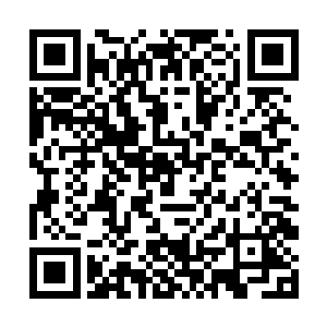 现在先把梅隆家族的重要人物和组织方式给我写出來二维码生成