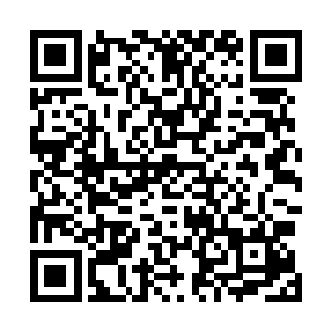 现在全世界的医药公司都排着队想要和他们合作这种新药二维码生成