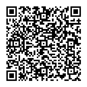 现在全靠最后的一缕神魂牵绊随时都有失去联系的感觉稍微不注意就要被别人鸠占鹊巢弄个神魂俱灭的下场二维码生成