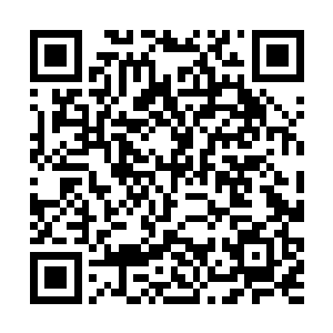 现在冷冰冰才觉得他们几个的想法是多么的可笑……二维码生成